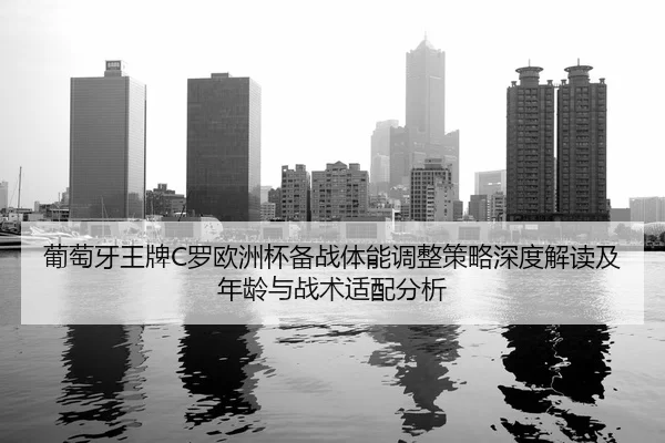 pu-tao-ya-wang-pai-luo-ou-zhou-bei-bei-zhan-ti-neng-tiao-zheng-ce-lve-shen-du-jie-du-ji-nian-ling-yu-zhan-shu-shi-pei-2-579.jpg