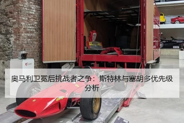 ao-ma-li-wei-mian-hou-tiao-zhan-zhe-zhi-zheng-si-te-lin-yu-sai-hu-duo-you-xian-ji-fen-xi-2-877.jpg